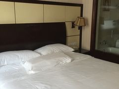 -维也纳国际酒店(深圳新洲店)