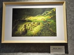 -甘肃地质博物馆