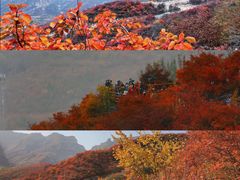 -周口店坡峰岭风景区