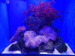 -多彩贵州城极地海洋世界