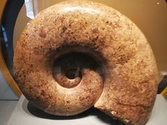 -湖南省地质博物馆