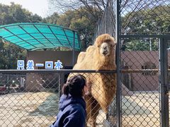 -荆州中山公园动物园