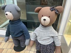 -济州岛泰迪熊博物馆