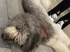 -星巴克(杭州银泰城西一店)