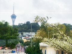 -澳门旅游塔360°旋转餐厅(南湾湖广场店)