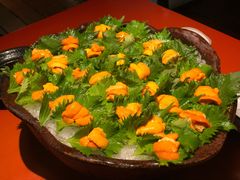 -初花·日本料理