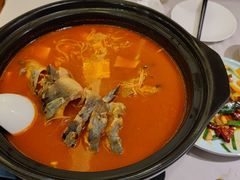 贵州酸汤鱼-贵州大厦贵州厅(樱花园西街店)