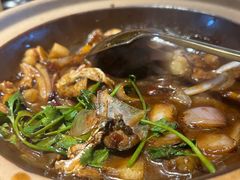 -徽三说·土徽菜·中国徽菜连锁品牌(一中店)