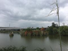 -白鹭湾湿地公园