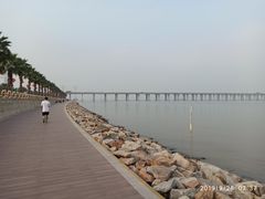 -宝安西湾红树林湿地公园