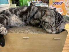 -小时光咖啡馆(北锣鼓巷店)