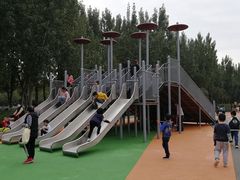 -汉长安城未央宫国家考古遗址公园