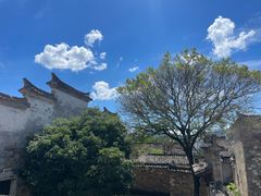 -黄牛肉馆·皖南土菜