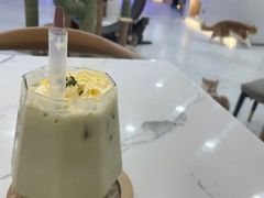 -喵园·猫主题咖啡厅·撸猫·猫咖(国贸店)