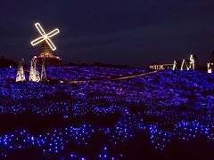-大塘金香草谷
