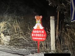-灵山
