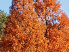 -东钱湖旅游度假区