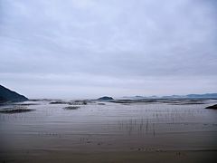 -北岐滩涂