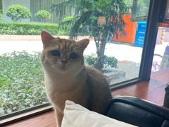 -咖法森林·咖啡  酒吧(天河店)