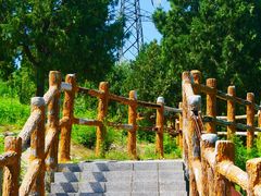 -白水寺森林公园