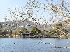 -南北湖风景区