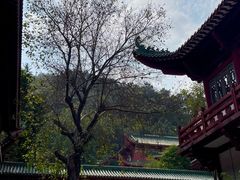 -六祖寺