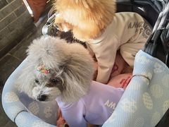 -百花人家(清水田园店)