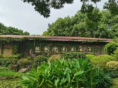 -中国茶叶博物馆(双峰馆区)