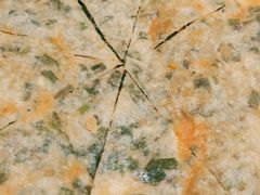 -哥顿酒店休闲会所