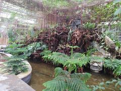 -石家庄市植物园