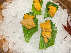 -月龍吟(朝龙汇店)