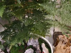 -巴黎春天(浦建店)