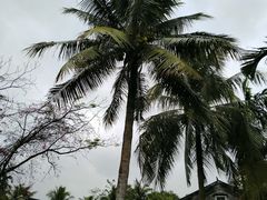 -红色娘子军纪念园