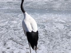 -沈阳森林动物园