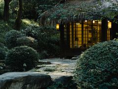 -中国茶叶博物馆(双峰馆区)