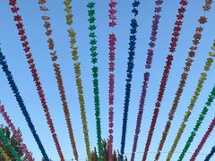 -南戴河国际娱乐中心