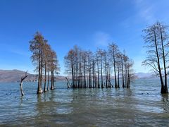 -大理洱海