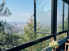 -南山植物园