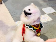 -越弥越南传统美食馆