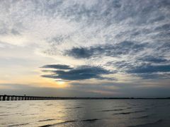 -宝安西湾红树林湿地公园