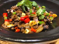 小香菇焖蹄筋-鸡毛店·川菜(双楠店)