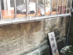 -二楼南书房