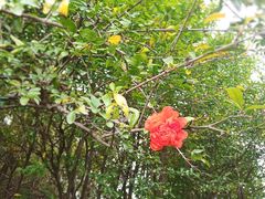 -九里河湿地公园