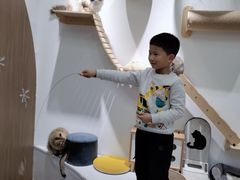 -COLOR PETS 撸猫馆·购猫·猫咖(长风大悦城店)