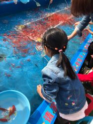 -萌宠亲子动物乐园(槐房万达店)