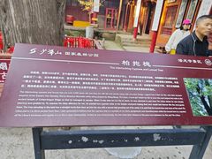 -少华山国家森林公园