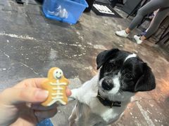 -CrossFit MeWellness