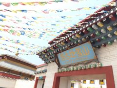 -青岛方特梦幻王国