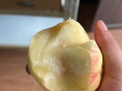 -南汇新场正宗水蜜桃采摘