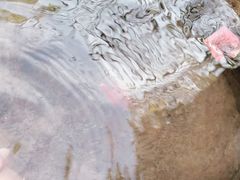 -厦门日月谷温泉渡假村